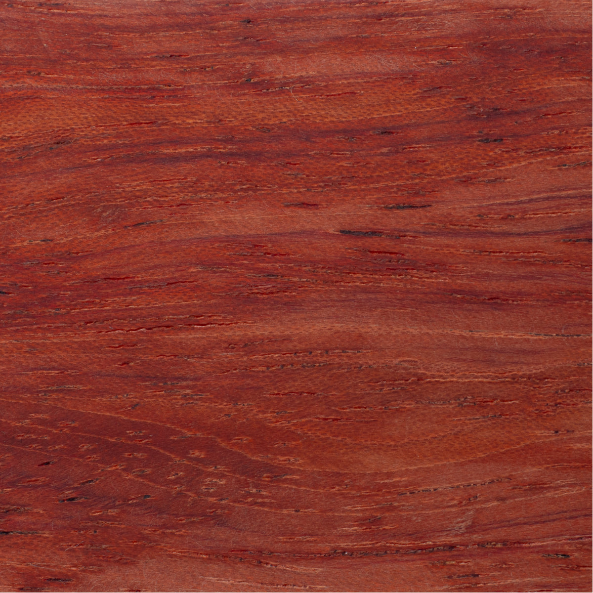 padauk_low_res_1200x1200.jpg?v